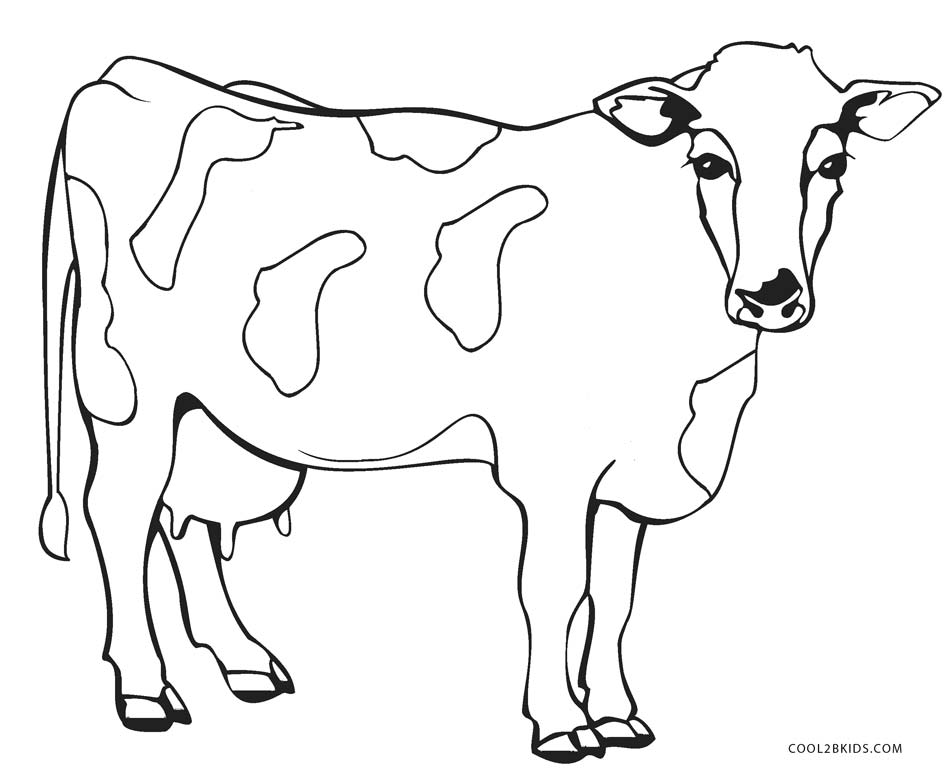 950x778 Cattle Coloring Pages