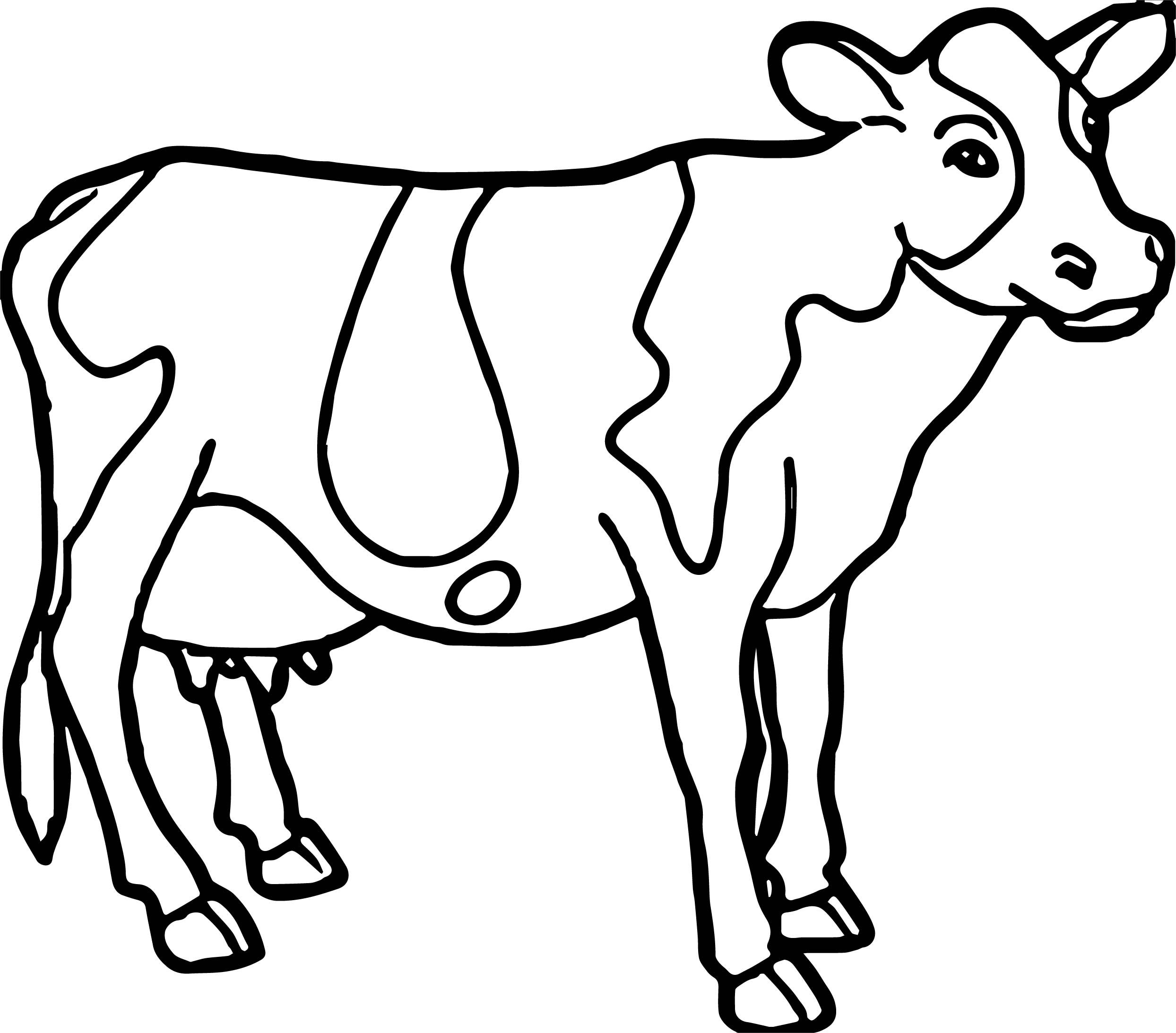 2488x2185 Cow Coloring Page Pages Farm Animal Ribsvigyapan Ba Cow Cow