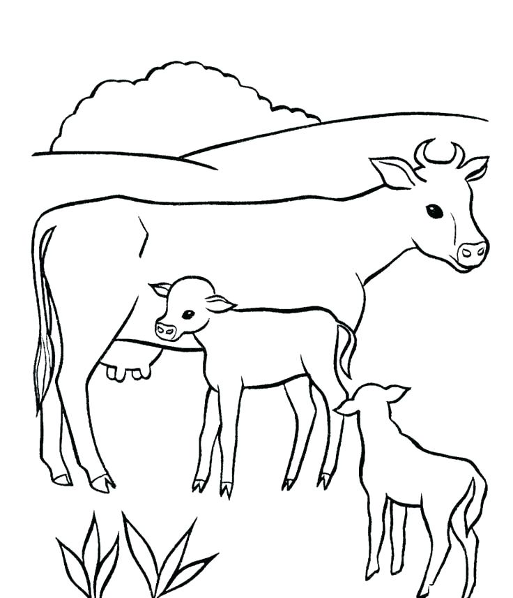 736x857 Coloring Pages Cow Cow Coloring Pages Coloring Pages Disney