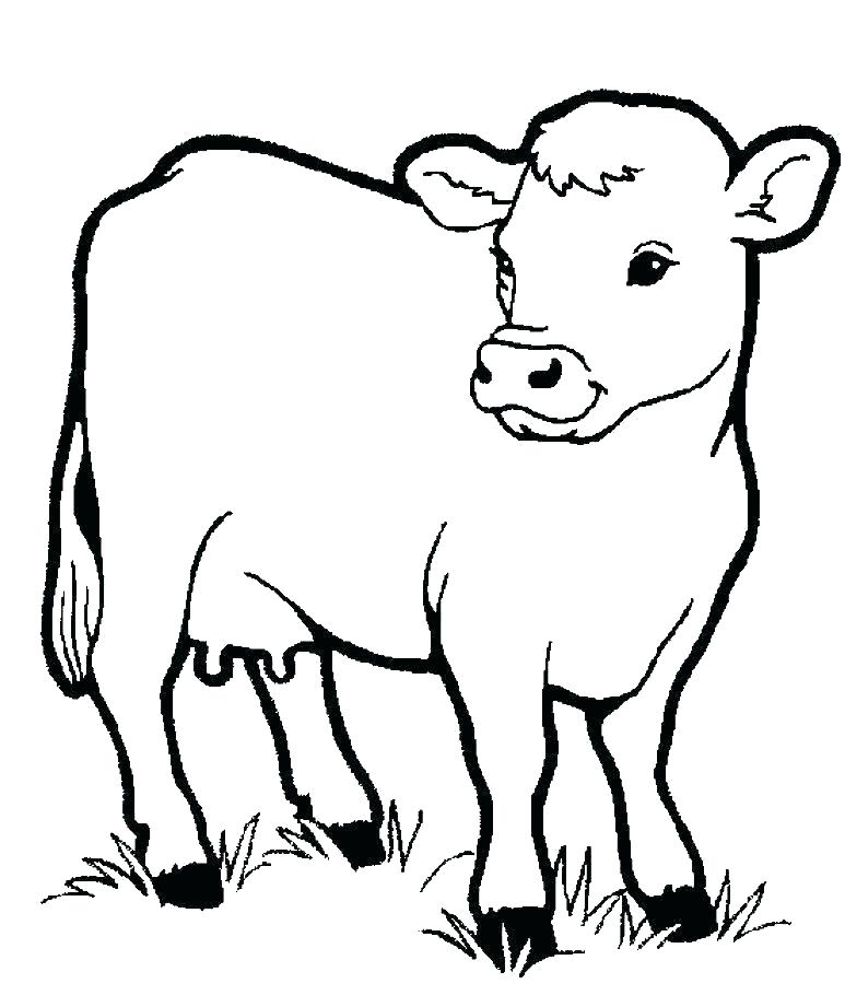 773x910 Coloring Pages Cow Cow Coloring Pages Cow Coloring Pages Coloring