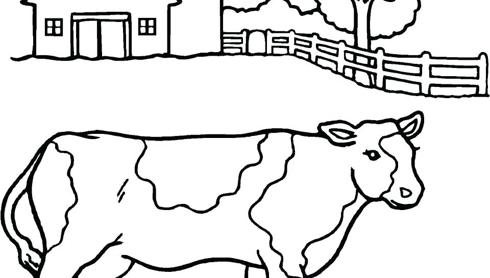 960x544 Cow Coloring Pages Cow Coloring Pages Coloring Pages Printable