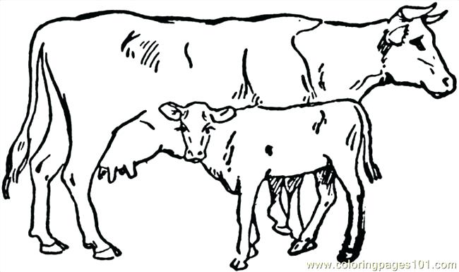 650x385 Cow Coloring Pages X Coloring Pages Easter Sunday School