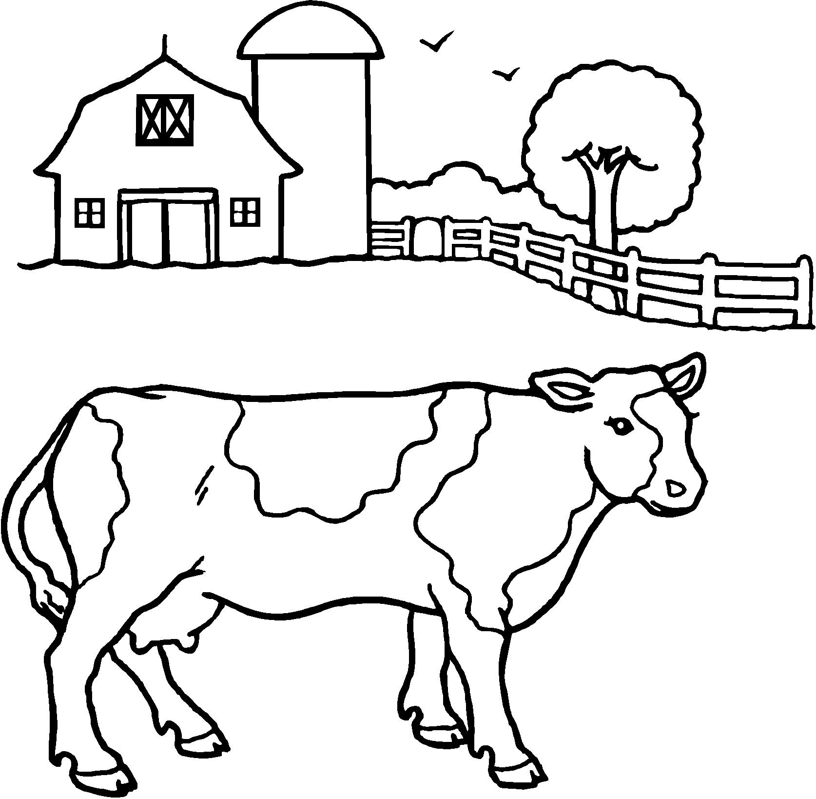 1674x1638 Revealing Cow Colouring S Coloring Printable In Good Print