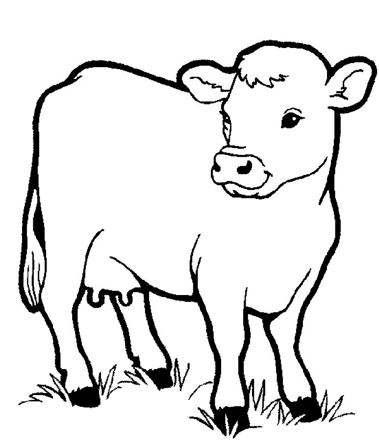773x910 Shining Design Farm Animal Coloring Pages Little Cow Preschool