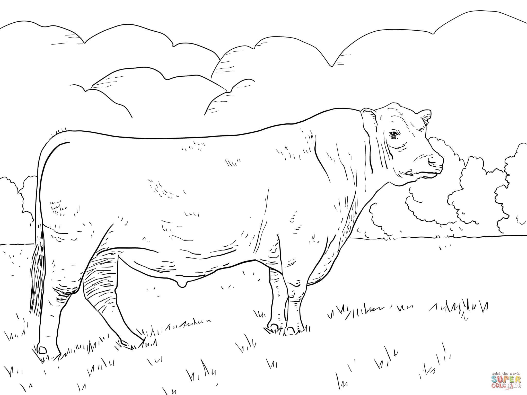 2048x1536 Zebu Animal Coloring Pages Free Draw To Color