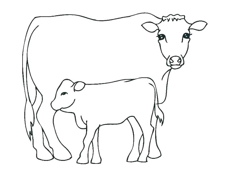 765x574 Cattle Coloring Pages Cattle Truck Colouring Pages