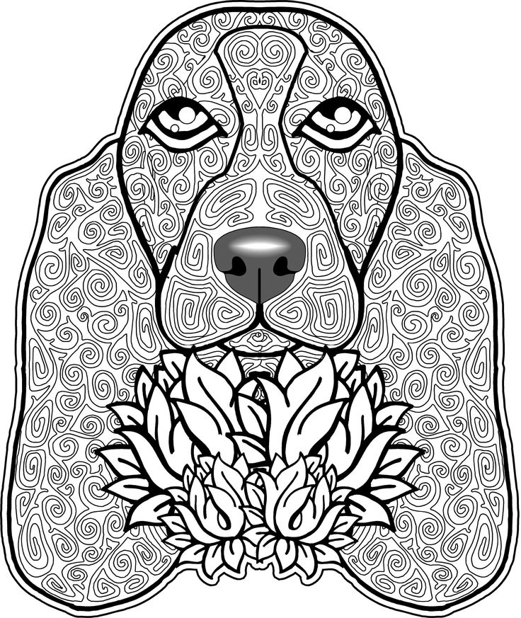 Cavalier King Charles Spaniel Coloring Pages