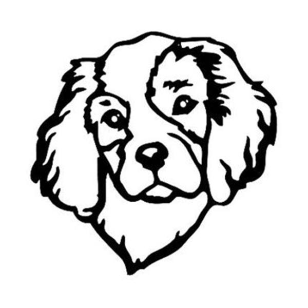 600x600 Cavalier King Charles Spaniel Car Sticker The Top Dog Deals