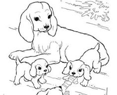 236x192 Free Coloring Pages Of King Charles Spaniels Color Sheets