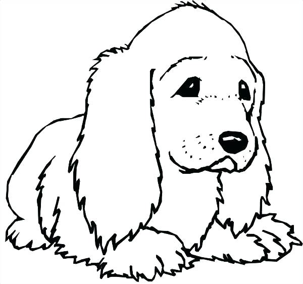 600x562 Cocker Spaniel Pages To Color Ckcs Coloring Page Yuckles Download