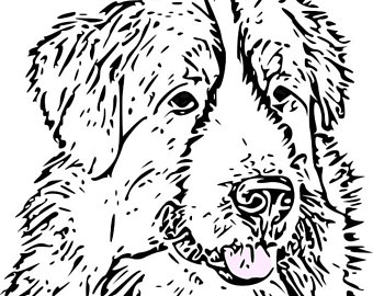 340x270 Adult Coloring Pages Cavalier King Charles Spaniel Art