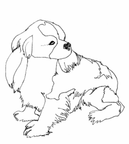 258x288 Cavalier Coloring Pages