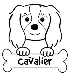 236x252 Cavalier King Charles Spaniel