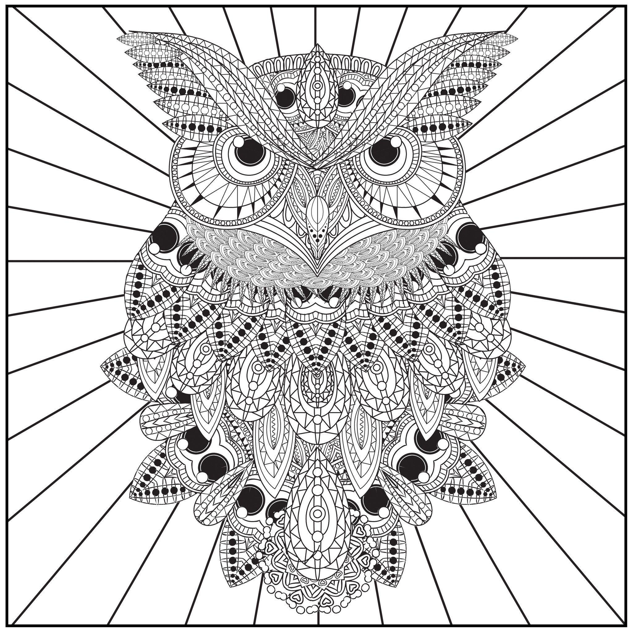 2048x2048 Owls Adult Coloring Book With Relaxation Cd