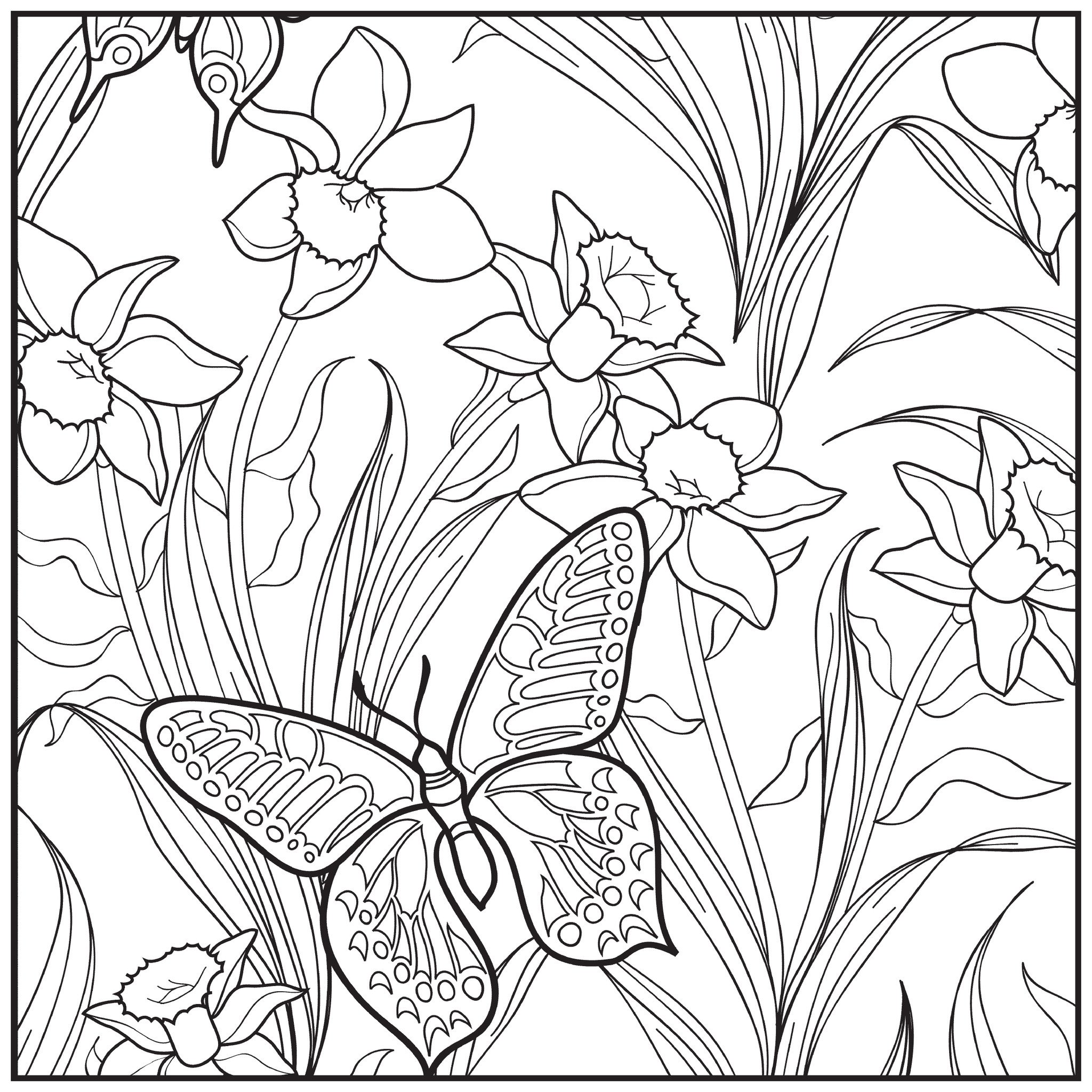 2048x2048 Botanical Garden Adult Coloring Book With Relaxation Cd