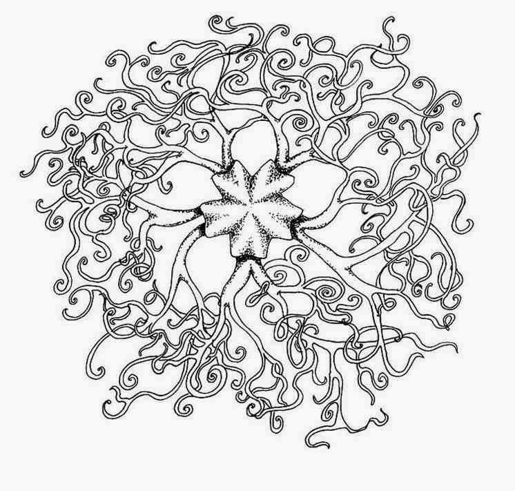 746x711 Coloring Pages For Adults Celtic Printable Free Coloring Sheets