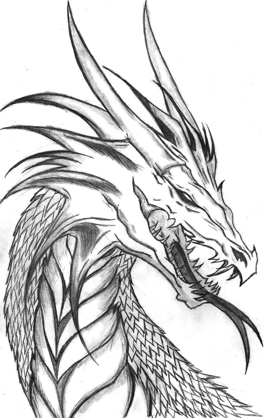 900x1412 Cool Dragon Coloring Pages Printable