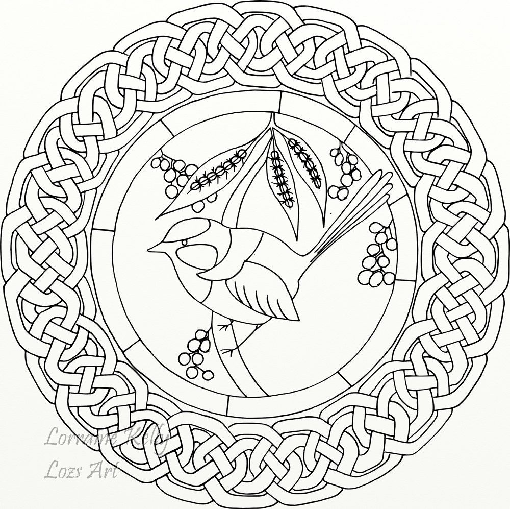 1000x997 Adult Colouring In Page Mandala Blue Wren Bird Celtic Knot