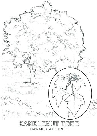 340x480 Celtic Tree Of Life Coloring Pages Page Sue Printable