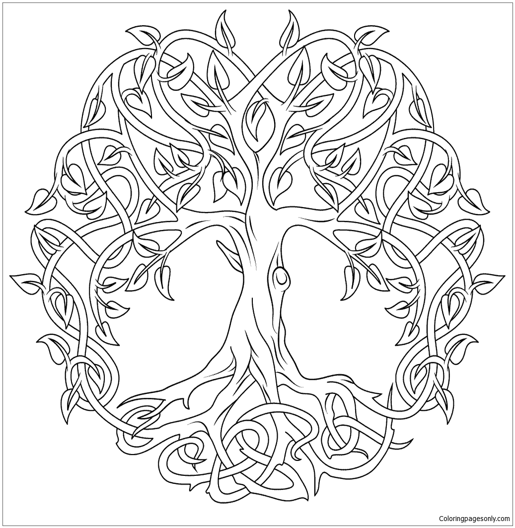 1037x1063 Celtic Tree Of Life Coloring Page