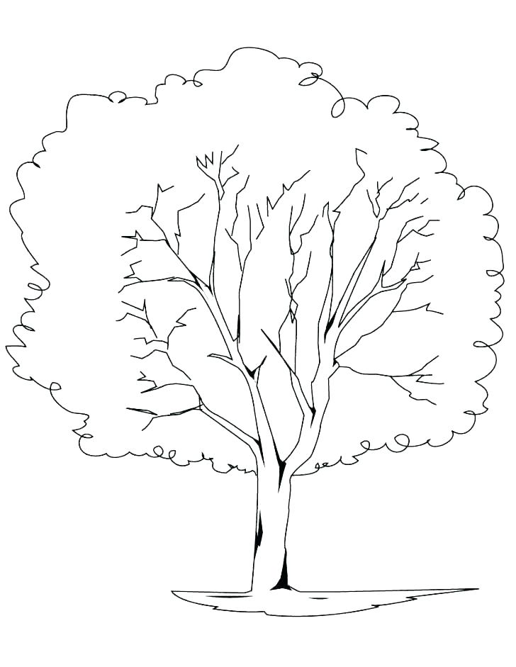 728x941 Tree Of Life Coloring Pages