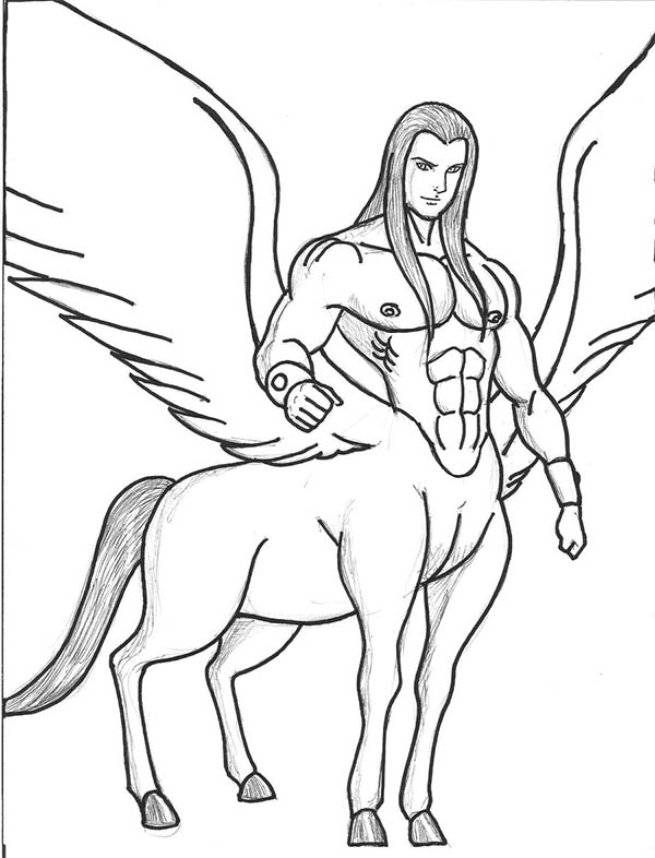 600x786 Awesome Centaur's Drawings