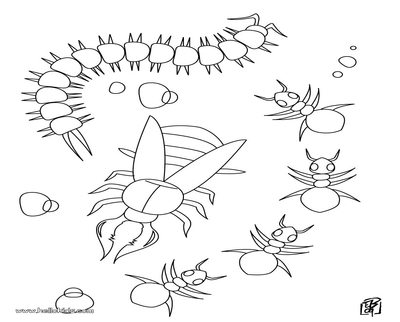 Centipede Coloring Page