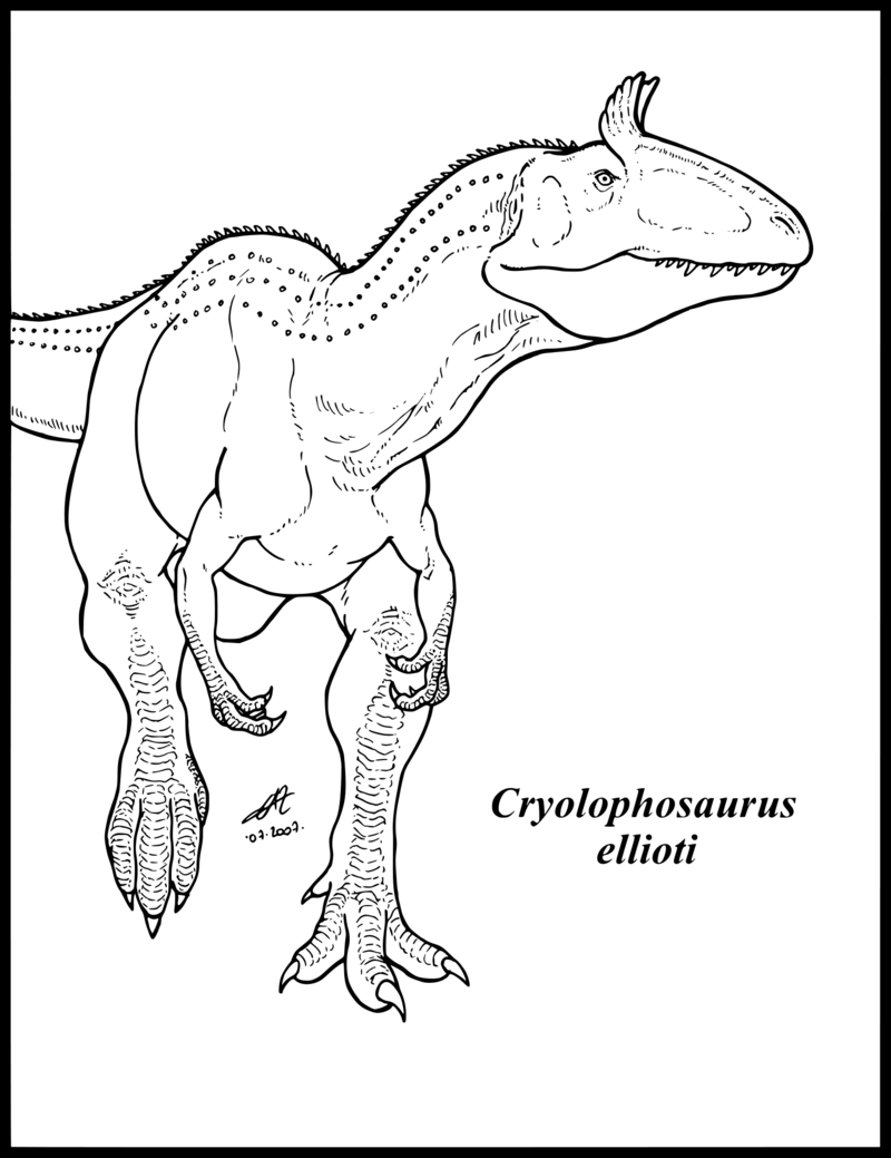 800x1039 Ceratosaurus Coloring Pages New Cryolophosaurus Ellioti By