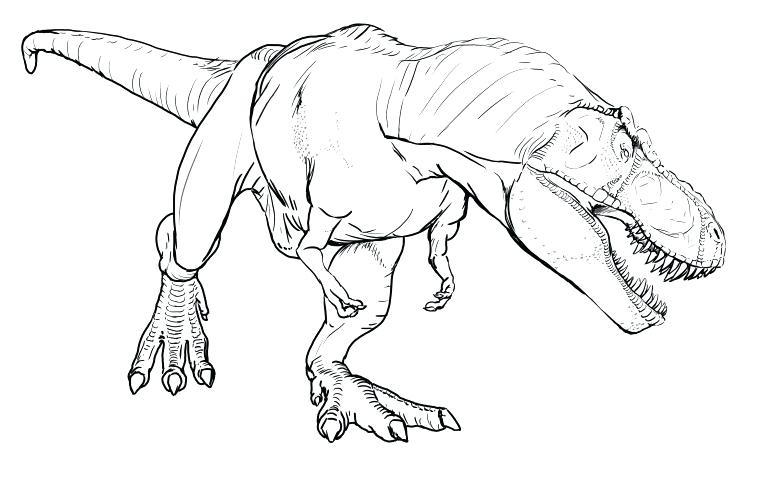 765x487 Ceratosaurus Coloring Pages Printable Dinosaur Coloring Pages