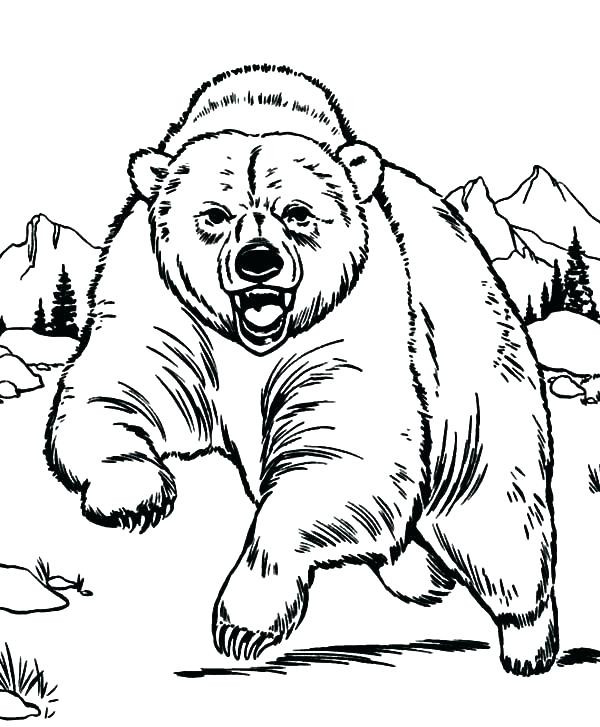 600x727 Cesar Chavez Coloring Page Pages Bears Bear Free Printable 33346