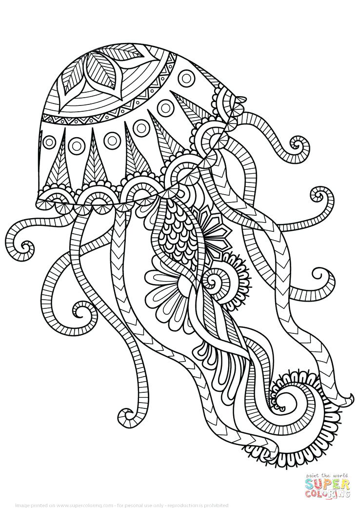 736x1041 Chakra Coloring Pages Mandala Coloring Pages Inspiration Web