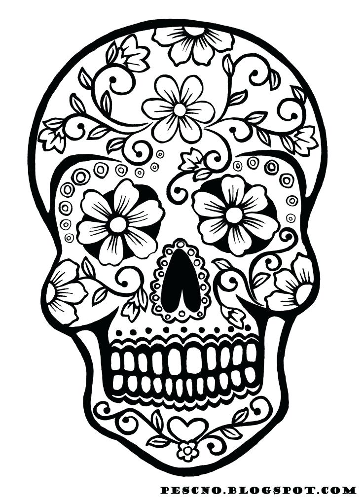 736x1012 Chalk Coloring Pages Photos Calcium Carbonate Chalk Coloring Page