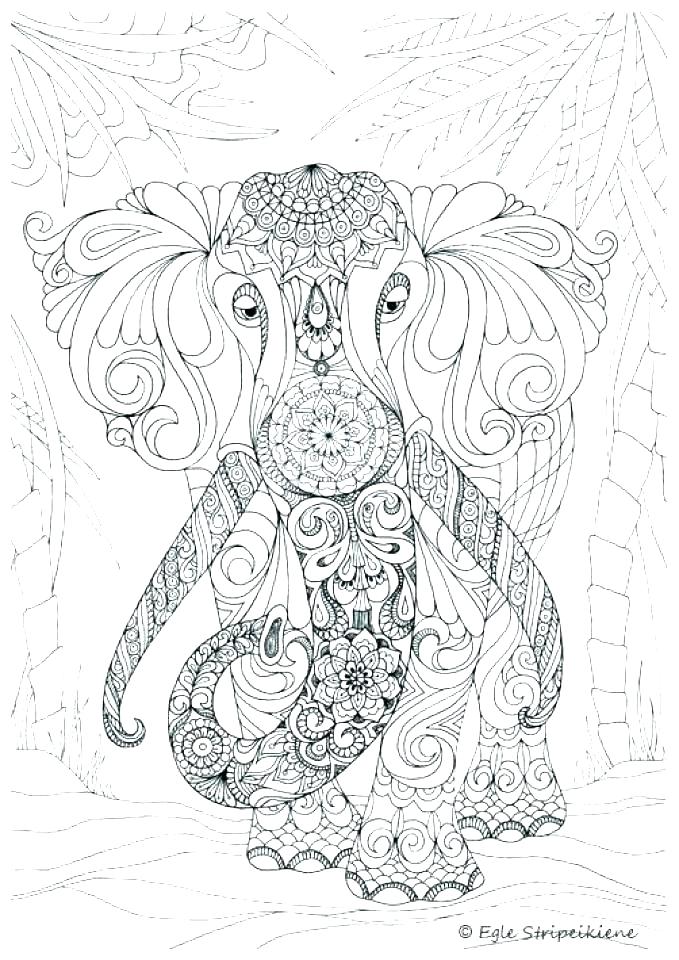 679x960 Challenging Coloring Pages Difficult Challenging Animal Coloring