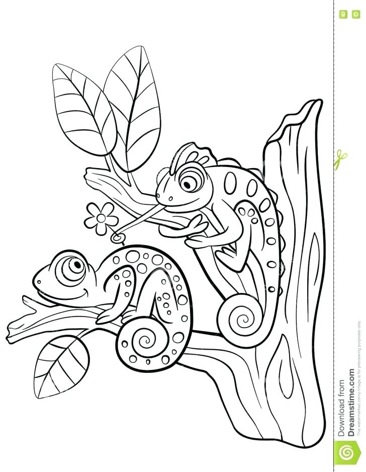 728x938 Chameleon Coloring Page Mixed Up Chameleon Coloring Page Chameleon