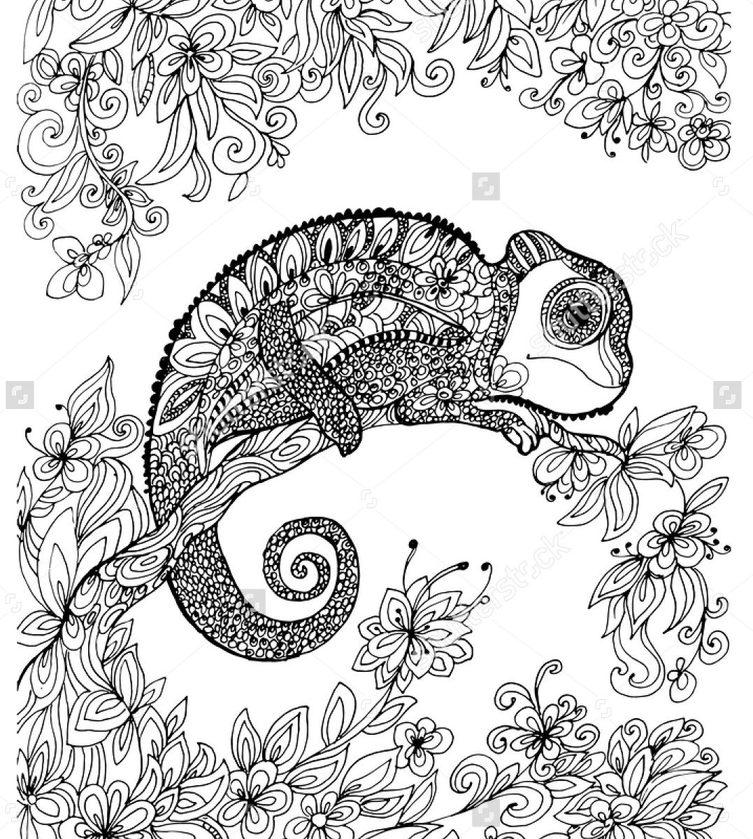 1077x1200 Linefa Me Coloring Pages Colouring Chameleon For Adults Free