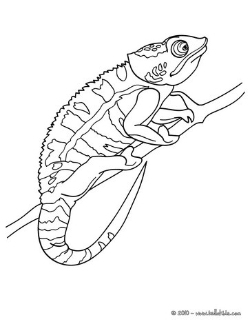 363x470 Chameleon Coloring Pages