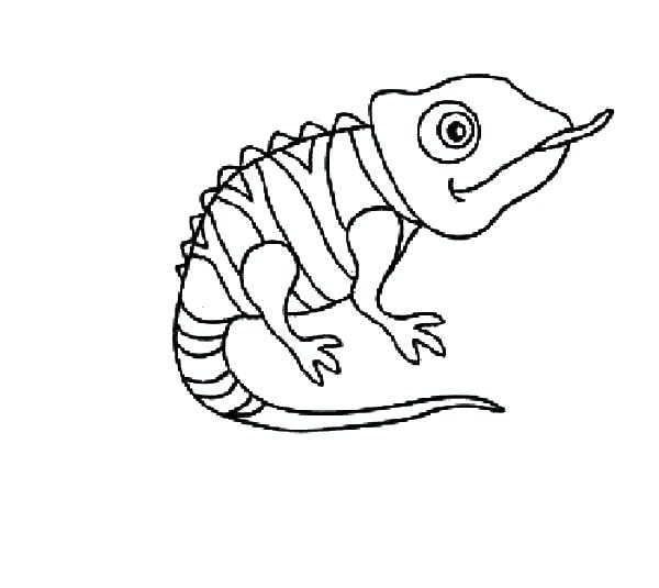 600x535 Chameleon Coloring Page Chameleon Coloring Animals Pascal