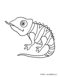 236x305 Cute Chameleon Coloring Page