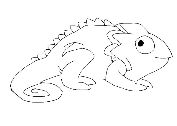 600x429 Chameleon Coloring Page Drawing Coloring Pages Chameleon Coloring