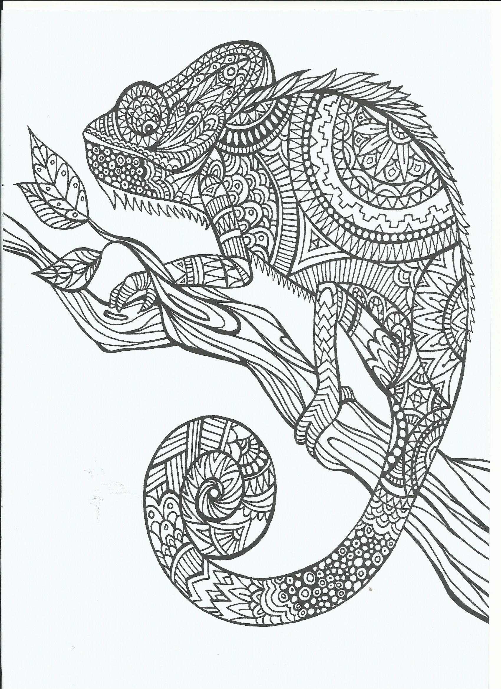 1700x2338 Free Printable Chameleon Coloring Pages Download