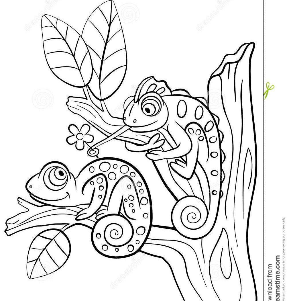 1009x1050 Jacksons Chameleon Coloring Page Free Printable Colouring Pages