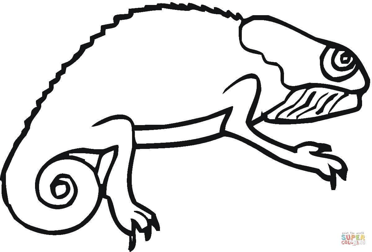 1200x814 Shocking Chameleon Coloring Page Printable Image Pic For Iguana