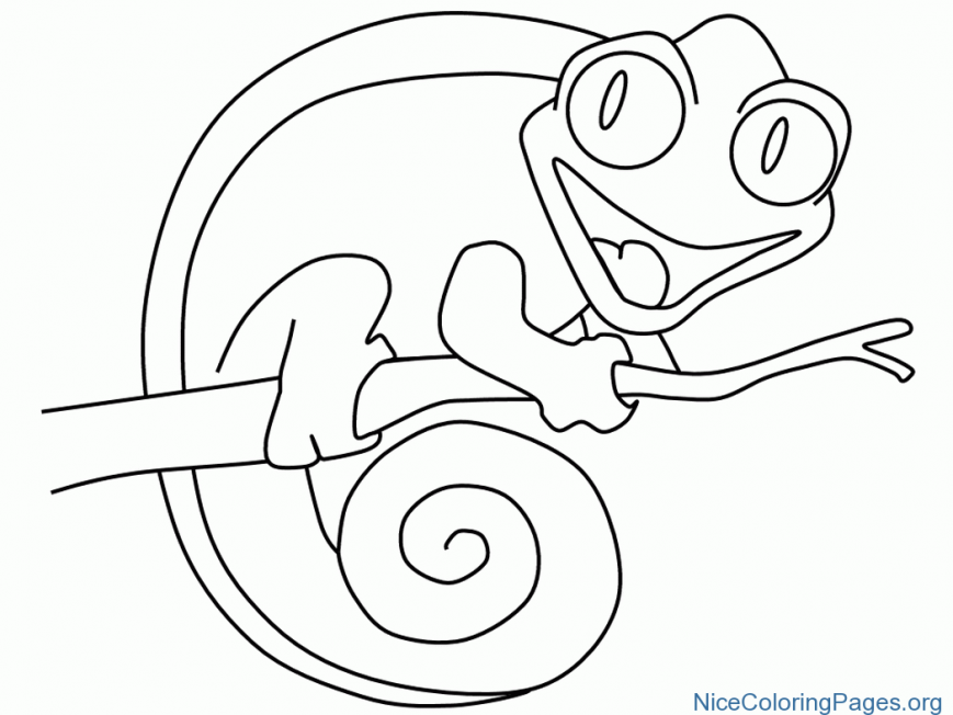 869x652 Chameleon Coloring Page Free Printable Pages Photo Ideas Panther
