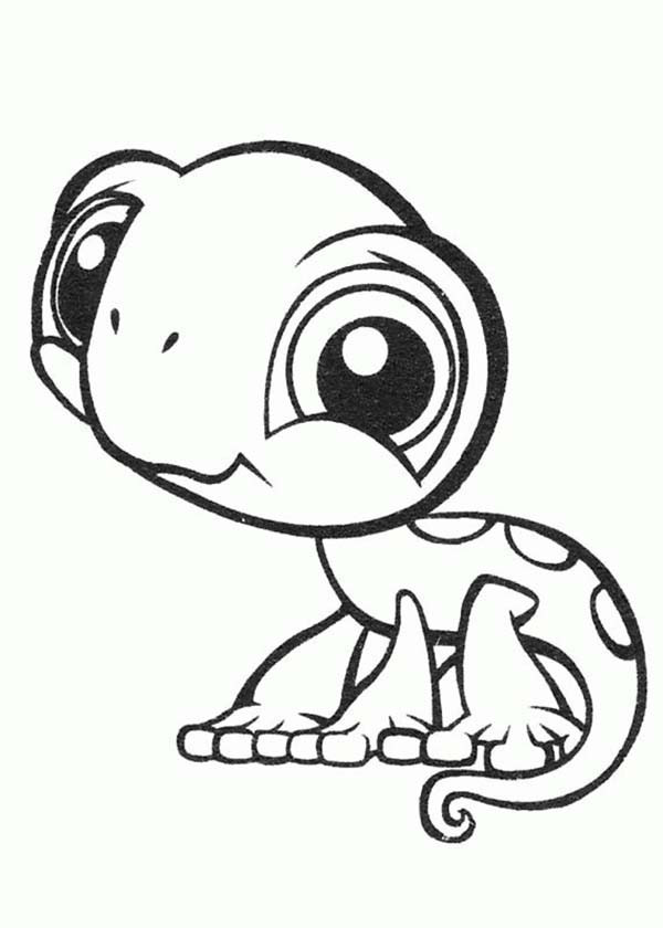 600x840 Chameleon Coloring Page Luxury Chameleon Coloring Pages Print