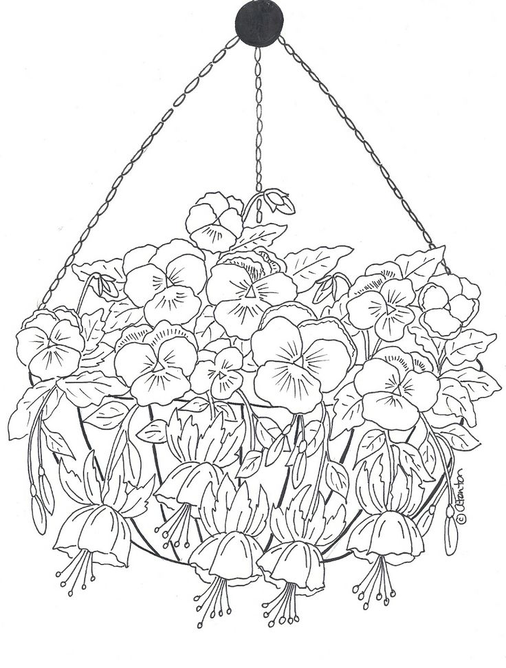 736x971 64 Best Fleurs Images On Draw, Print Coloring Pages