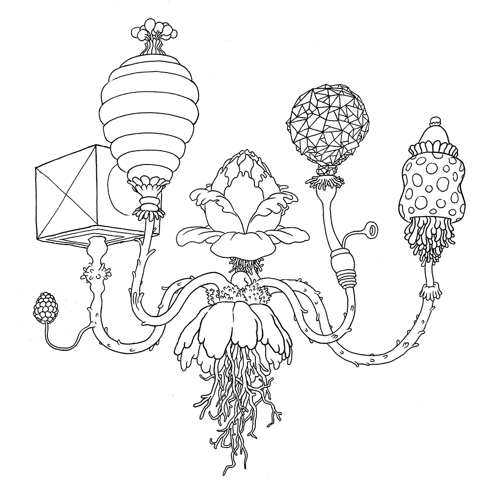 1000x1000 A Walk In Eden Coloring Book Anders Nilsen