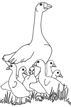 236x355 Goslings In The Barn Coloring Pages