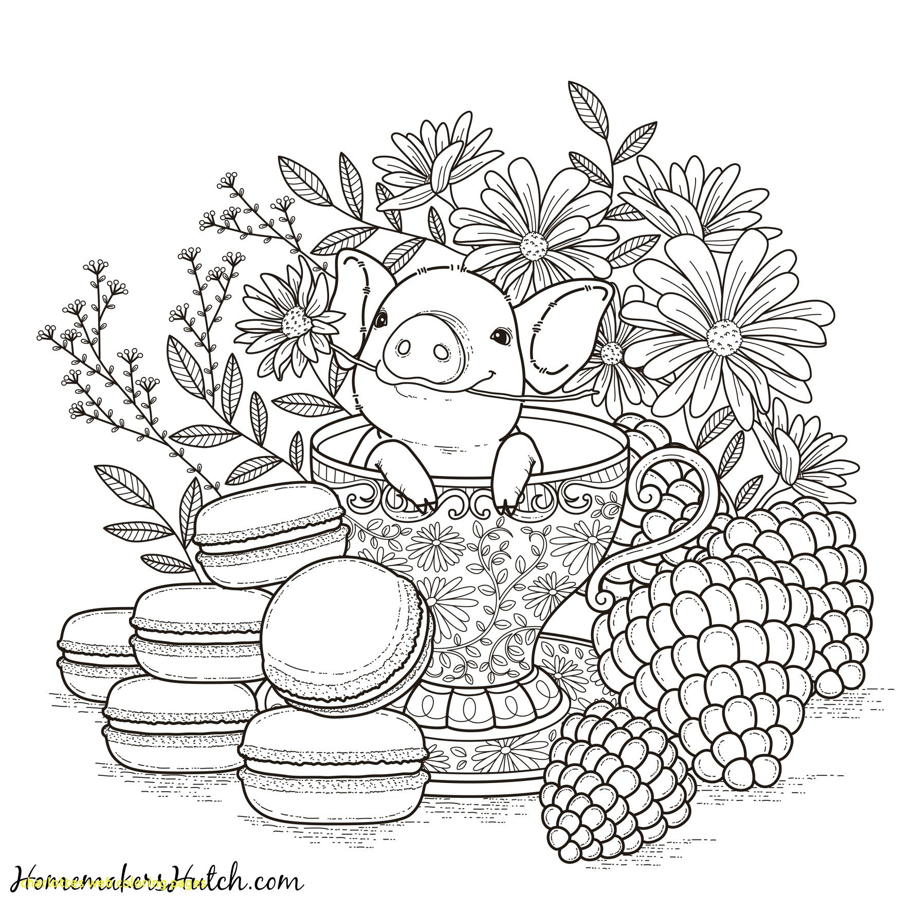 1774x1774 Soar Charlotte S Web Coloring Pages Charlottes
