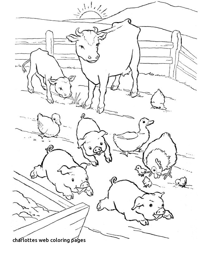 670x820 44 Best Ffa Quilt Images On For Charlottes Web Coloring