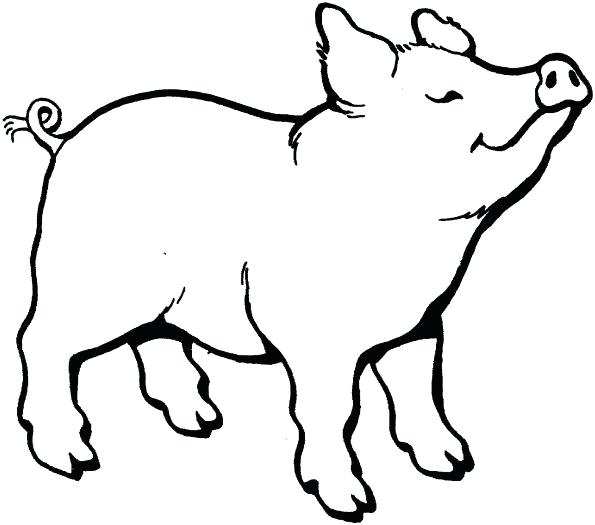 595x525 Charlottes Web Coloring Pages Web Coloring Page Charlottes Web